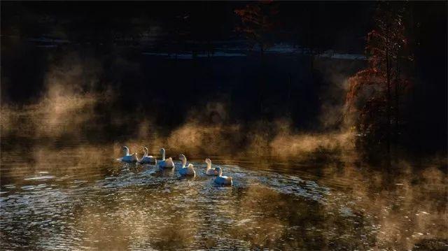幻想纹章3.3