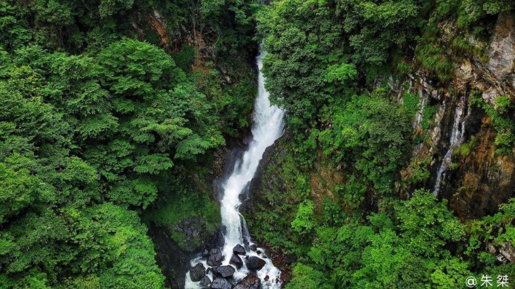 牛油果面包